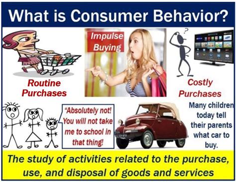 behavior 意味|consumer behavior definition.